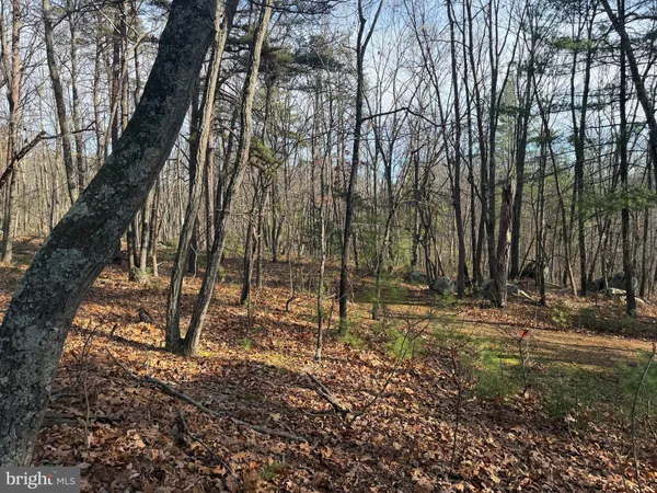 $59,000 | 5 Cooper Mountain View Drive, Capon Bridge, WV 26711