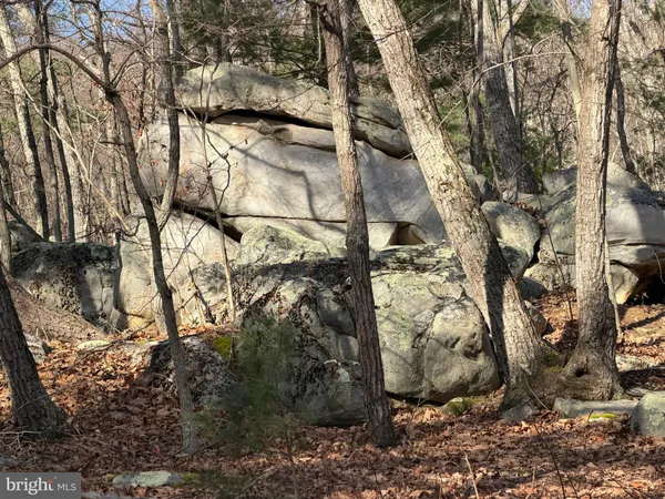 $59,000 | 5 Cooper Mountain View Drive, Capon Bridge, WV 26711