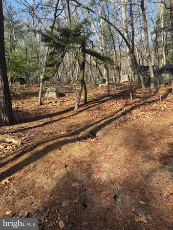 $59,000 | 5 Cooper Mountain View Drive, Capon Bridge, WV 26711