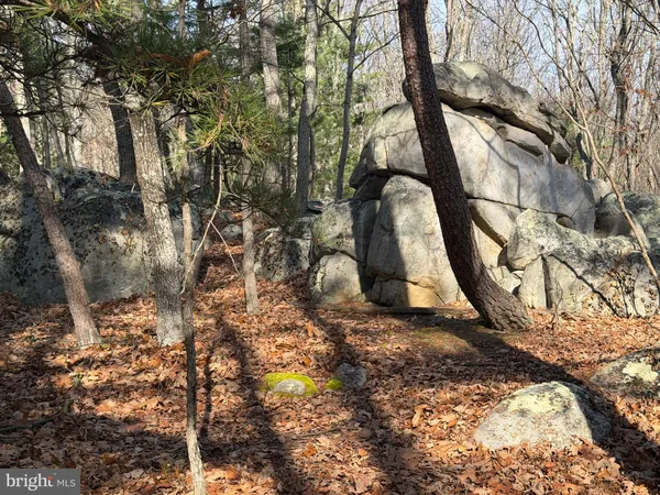 $59,000 | 5 Cooper Mountain View Drive, Capon Bridge, WV 26711