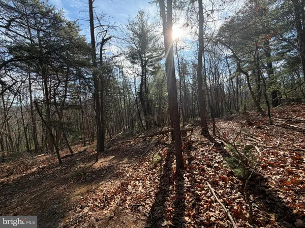 $59,000 | 5 Cooper Mountain View Drive, Capon Bridge, WV 26711