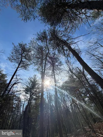 $59,000 | 5 Cooper Mountain View Drive, Capon Bridge, WV 26711