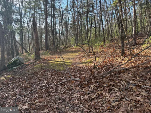 $59,000 | 5 Cooper Mountain View Drive, Capon Bridge, WV 26711