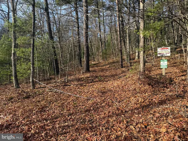 $59,000 | 5 Cooper Mountain View Drive, Capon Bridge, WV 26711