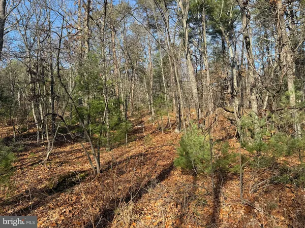 $59,000 | 5 Cooper Mountain View Drive, Capon Bridge, WV 26711