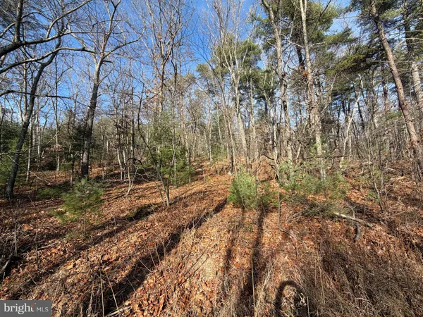 $59,000 | 5 Cooper Mountain View Drive, Capon Bridge, WV 26711