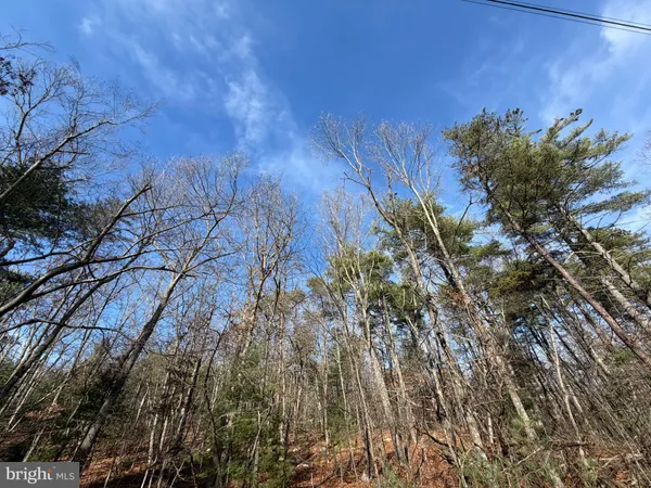 $59,000 | 5 Cooper Mountain View Drive, Capon Bridge, WV 26711