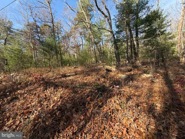 $59,000 | 5 Cooper Mountain View Drive, Capon Bridge, WV 26711