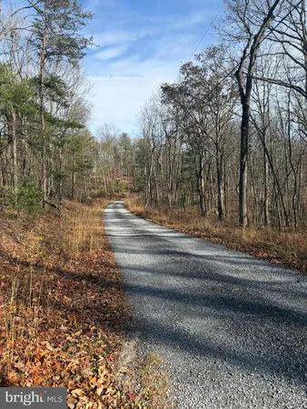 $59,000 | 5 Cooper Mountain View Drive, Capon Bridge, WV 26711