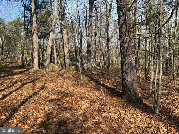 $59,000 | 5 Cooper Mountain View Drive, Capon Bridge, WV 26711