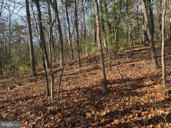 $59,000 | 5 Cooper Mountain View Drive, Capon Bridge, WV 26711