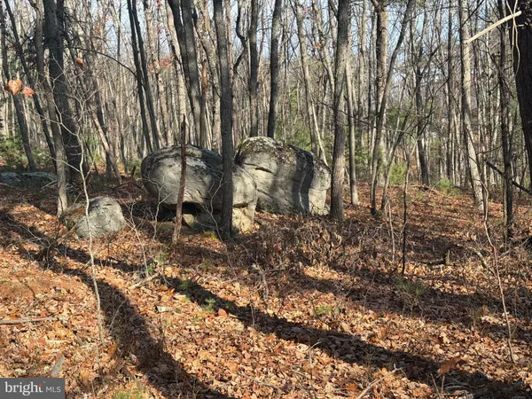 $59,000 | 5 Cooper Mountain View Drive, Capon Bridge, WV 26711