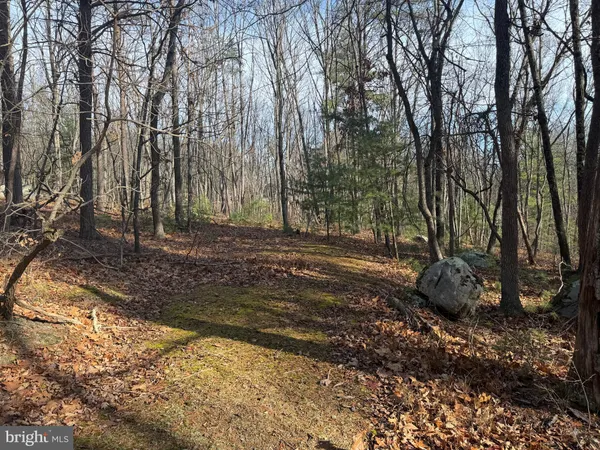 $59,000 | 5 Cooper Mountain View Drive, Capon Bridge, WV 26711