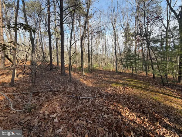 $59,000 | 5 Cooper Mountain View Drive, Capon Bridge, WV 26711