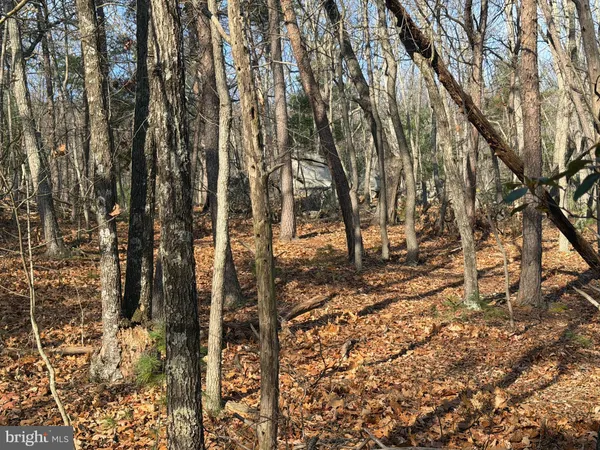 $59,000 | 5 Cooper Mountain View Drive, Capon Bridge, WV 26711