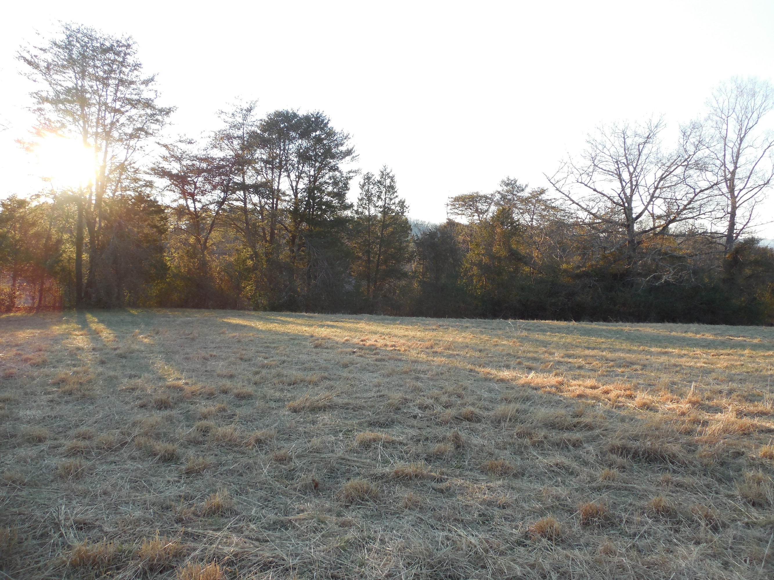 634 Blockhouse Valley Road Clinton, TN 37716 - Photo 3 of 7 096