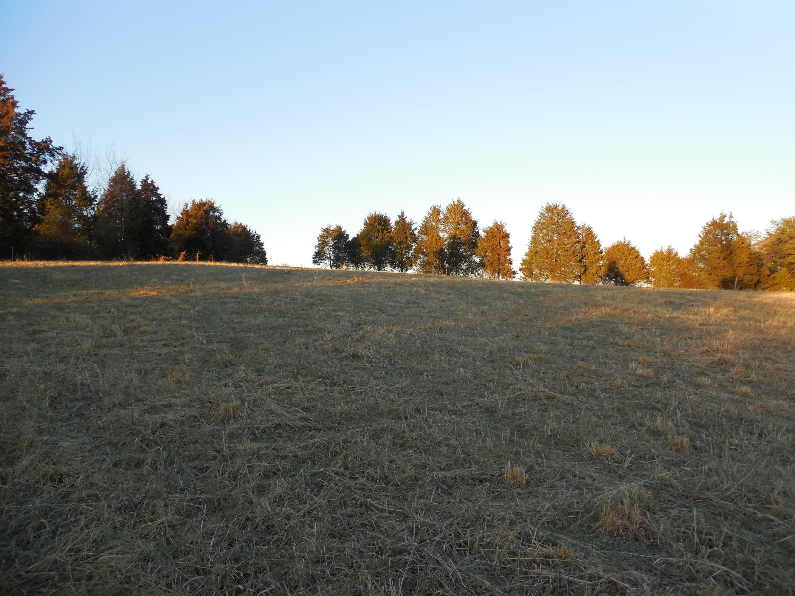 634 Blockhouse Valley Road Clinton, TN 37716 - Photo 4 of 7 116