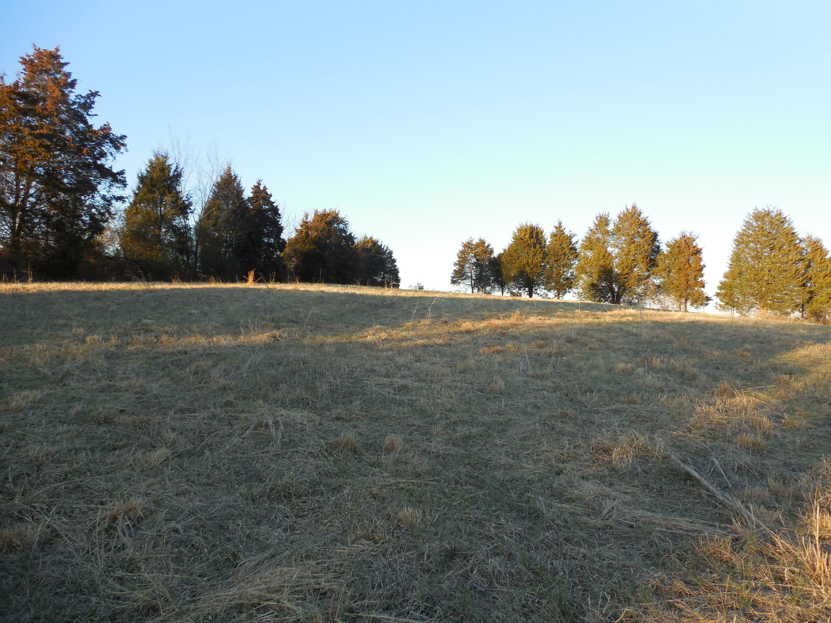 634 Blockhouse Valley Road Clinton, TN 37716 - Photo 5 of 7 098