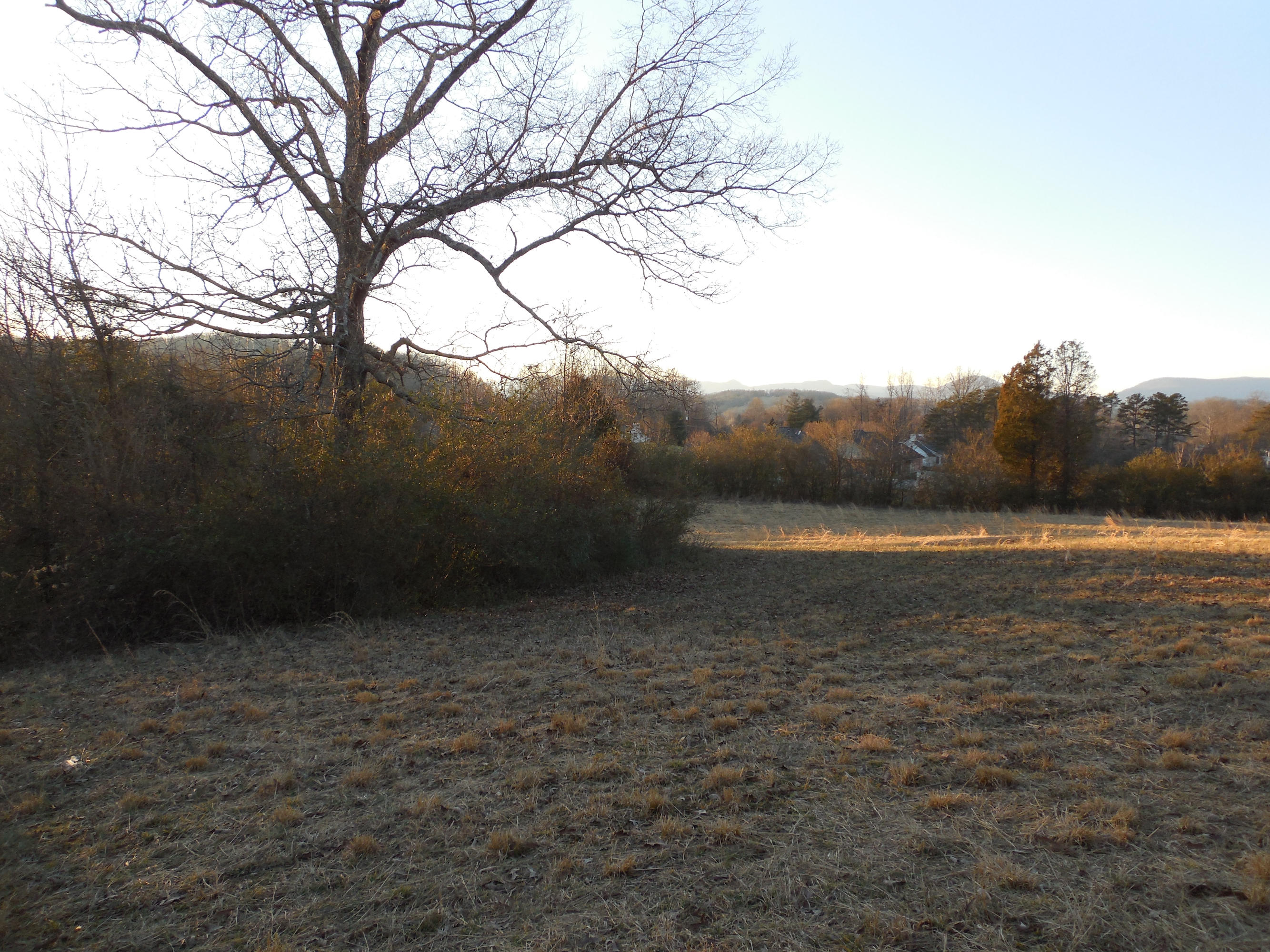 634 Blockhouse Valley Road Clinton, TN 37716 - Photo 6 of 7 114