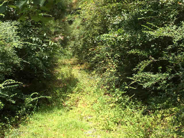 4 County Road 11 Fairhope, AL 36532 - Photo 5 of 5