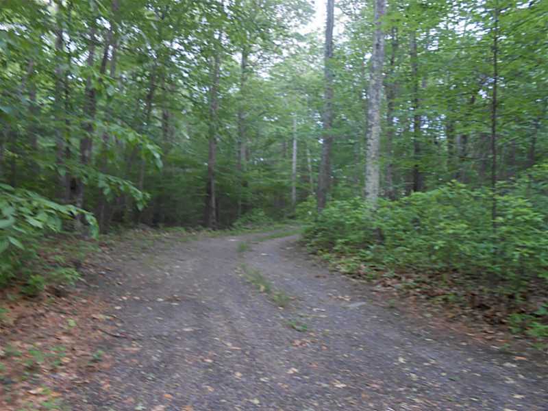 11 Paris Olney Hopkins Road Foster, RI 02825 - Photo 4 of 12 Other. Driveway