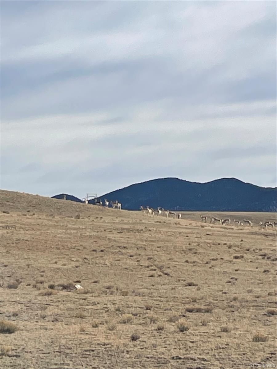 7620 Clear Creek Road Hartsel, CO 80449 - Photo 22 of 26