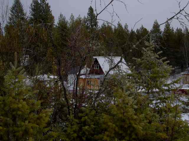 0 Lumberg Road Springdale, WA 99173 - Photo 1 of 4