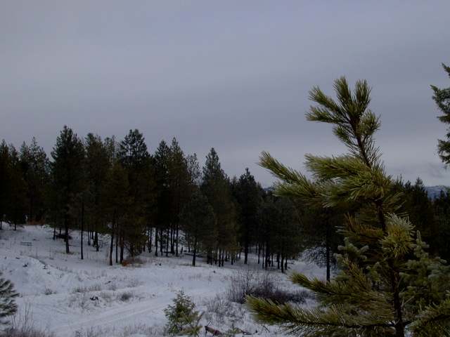 0 Lumberg Road Springdale, WA 99173 - Photo 2 of 4
