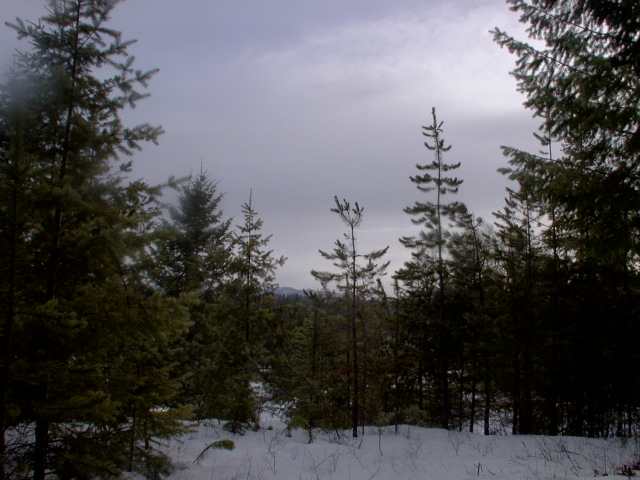 0 Lumberg Road Springdale, WA 99173 - Photo 3 of 4