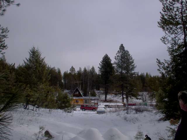 0 Lumberg Road Springdale, WA 99173 - Photo 4 of 4