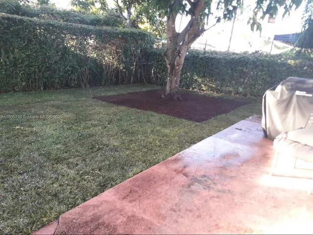 a view of garden with tall trees