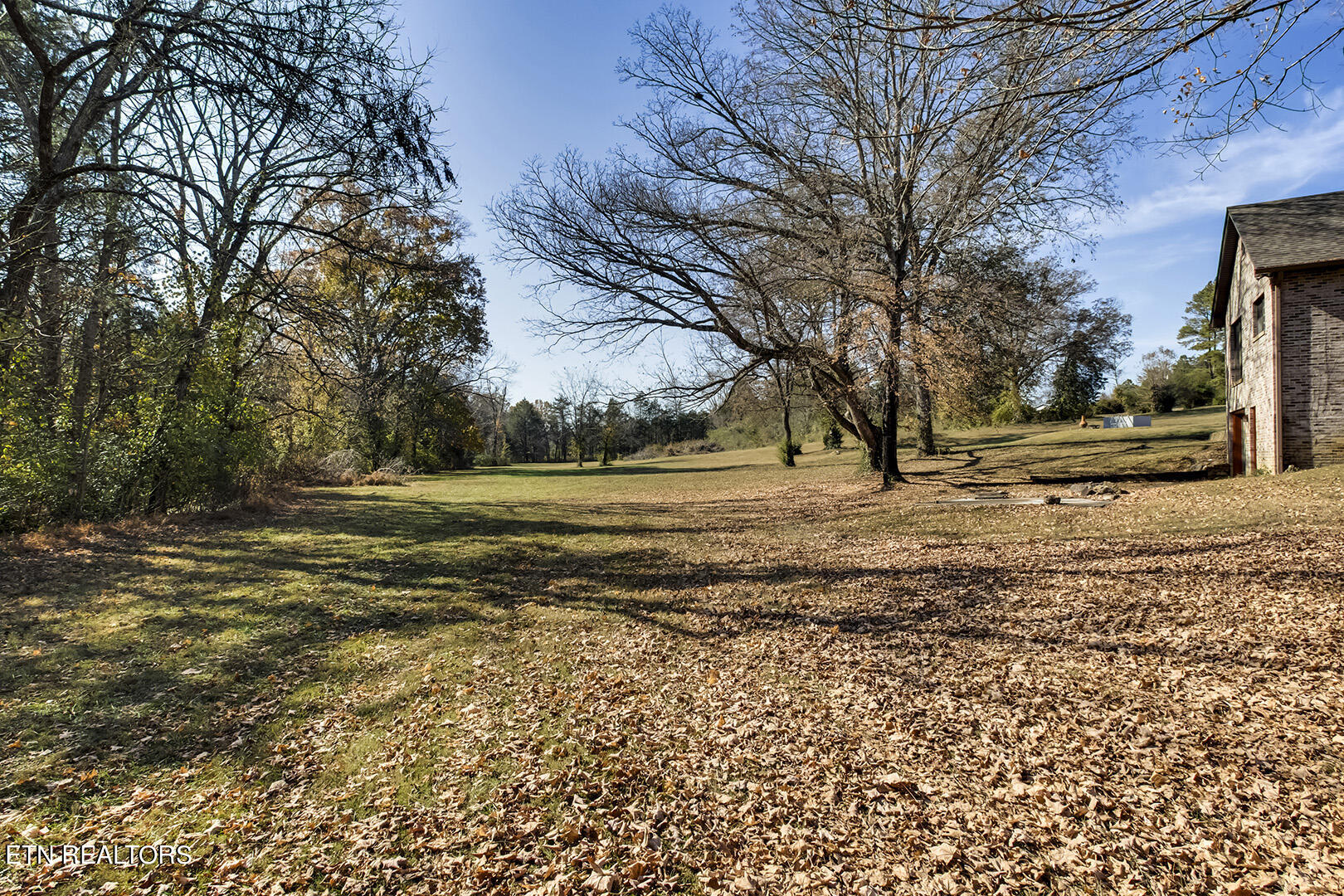 4923 Shipe Road Corryton, TN 37721 - Photo 48 of 55 40_ShipeRoad_4923_Backyard