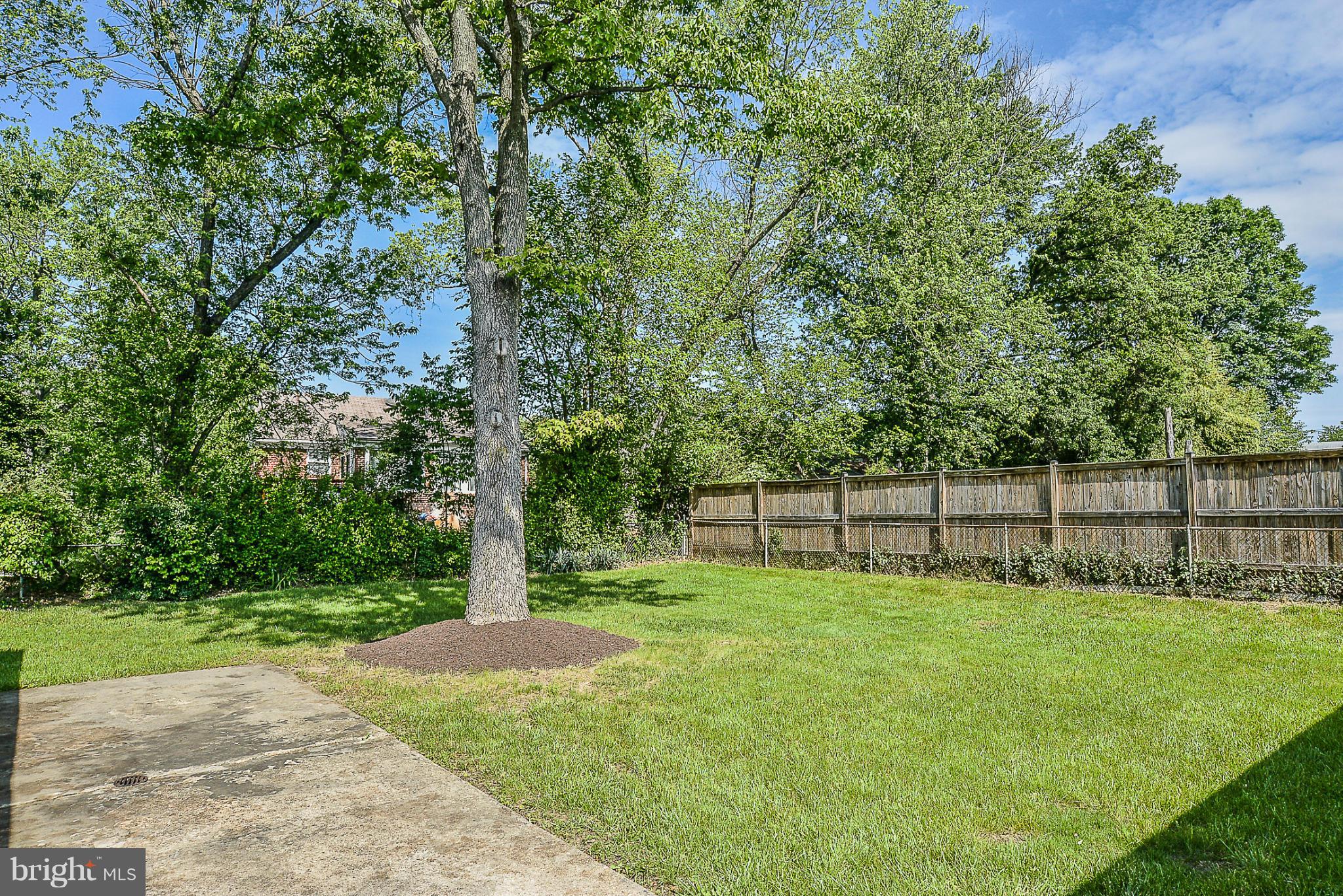 6006 Amherst Avenue Springfield, VA 22150 - Photo 27 of 30 Exterior (Rear)