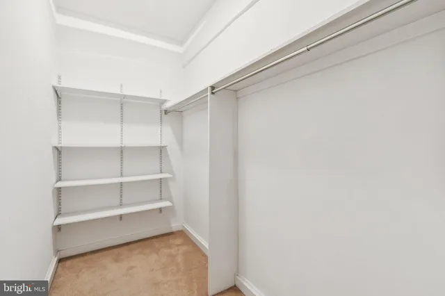 a room with walk in closet with empty racks