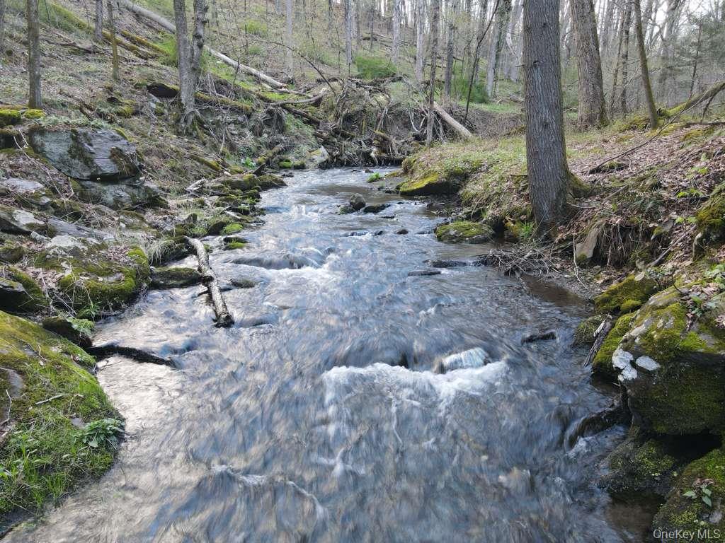 56 Northrup Road Dover Plains, NY 12522 - Photo 11 of 46 a view of a yard with plants and trees