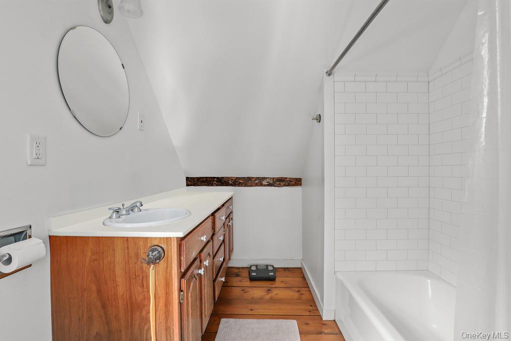 56 Northrup Road Dover Plains, NY 12522 - Photo 34 of 46 a bathroom with a sink a mirror and a bathtub