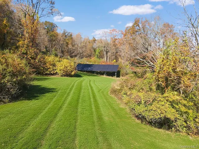 a view of a back yard