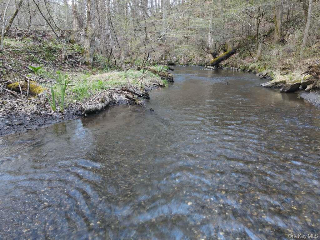 56 Northrup Road Dover Plains, NY 12522 - Photo 10 of 46 a view of a street with a yard
