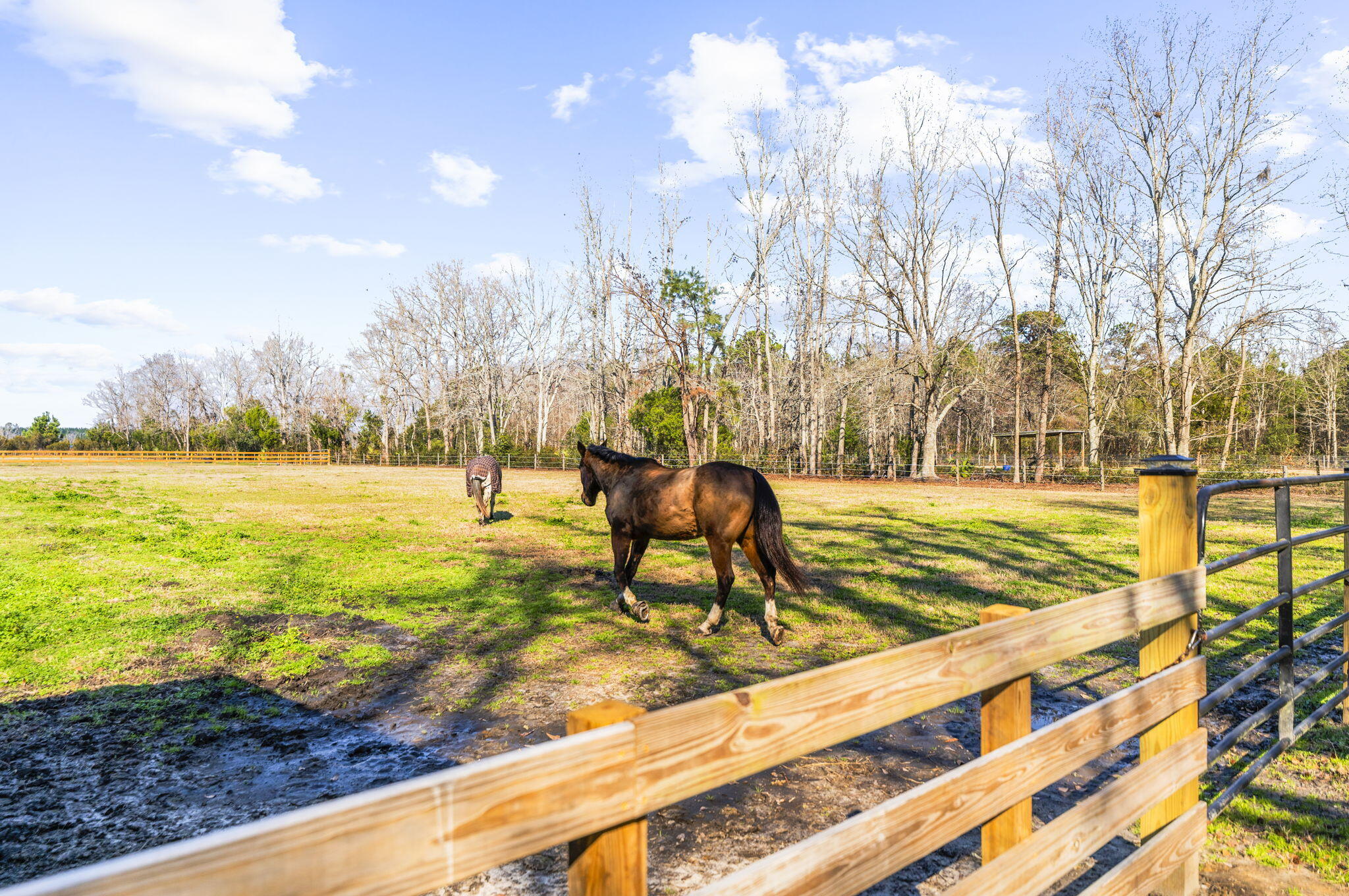 163 Keans Neck Road Seabrook, SC 29940 - Photo 11 of 62 property