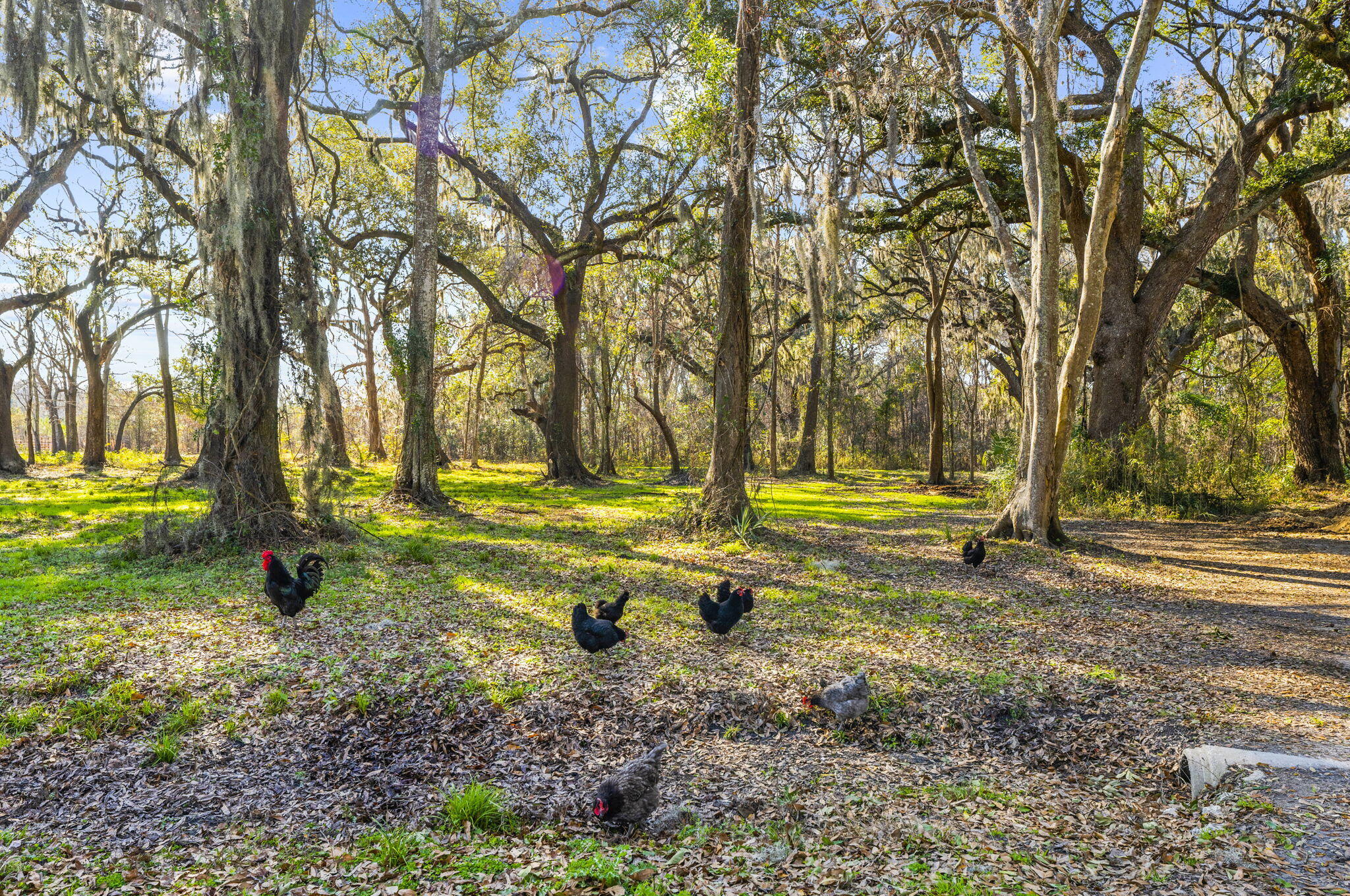 163 Keans Neck Road Seabrook, SC 29940 - Photo 12 of 62 property