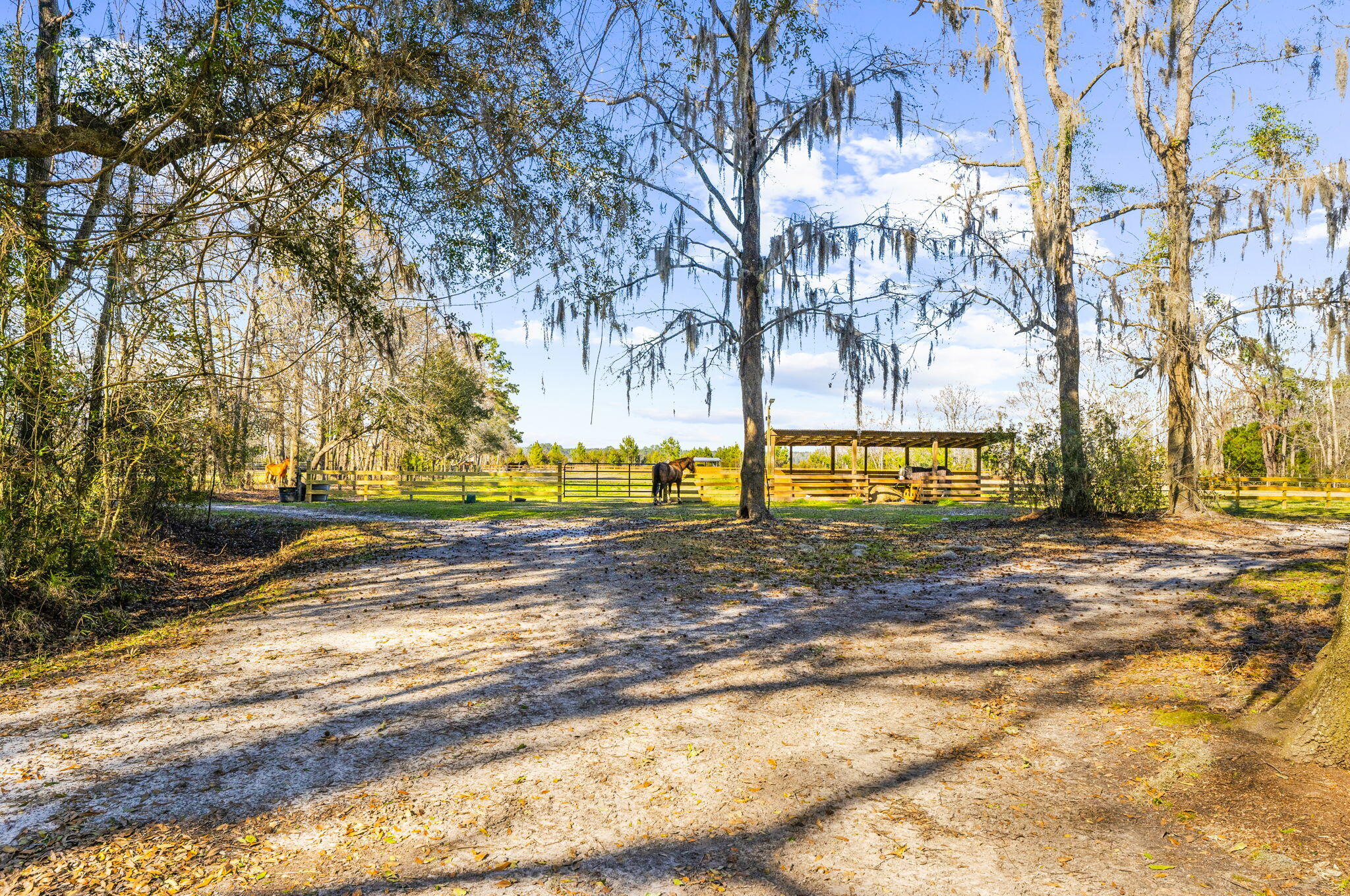 163 Keans Neck Road Seabrook, SC 29940 - Photo 13 of 62 property