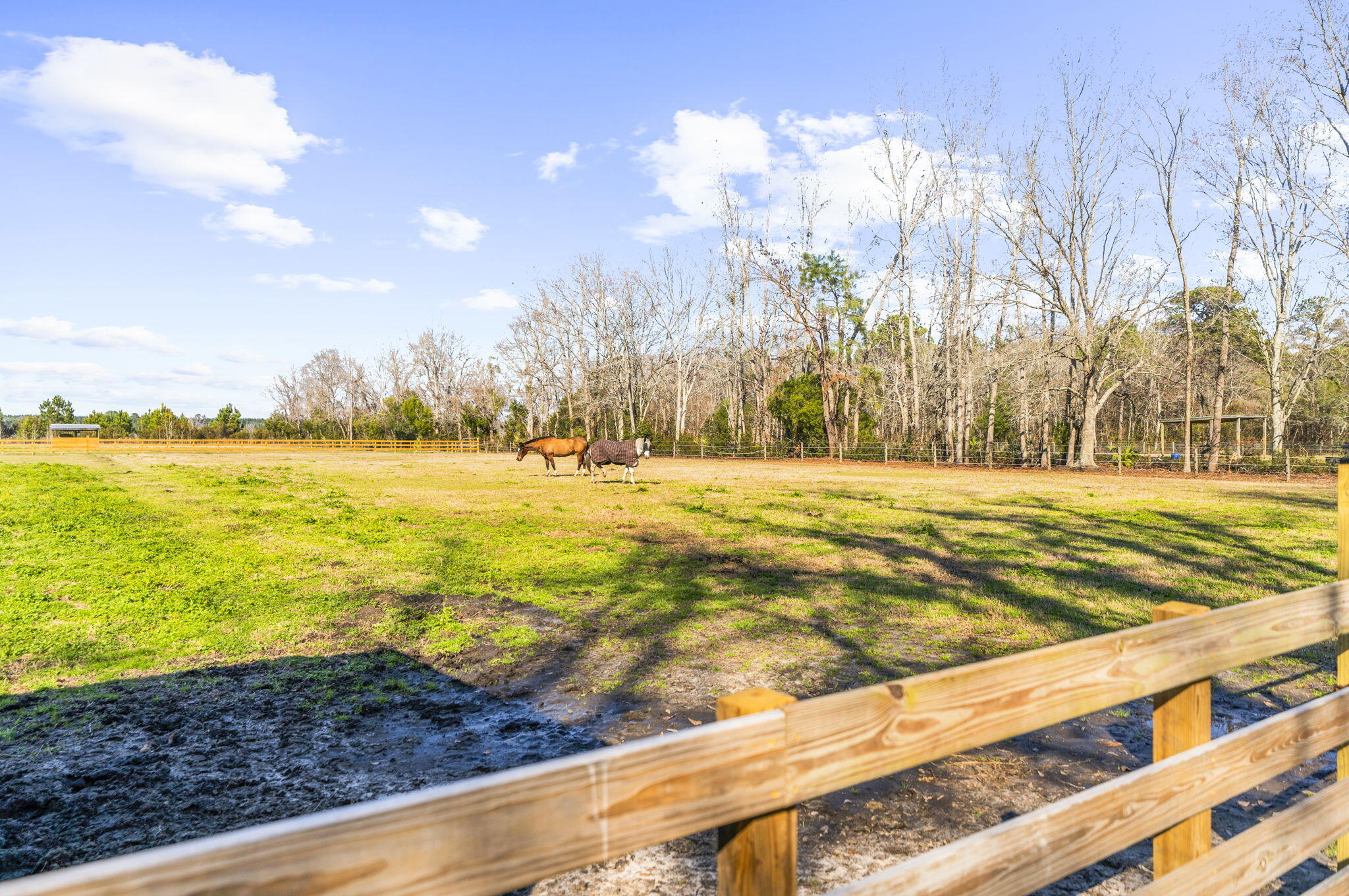 163 Keans Neck Road Seabrook, SC 29940 - Photo 15 of 62 runs