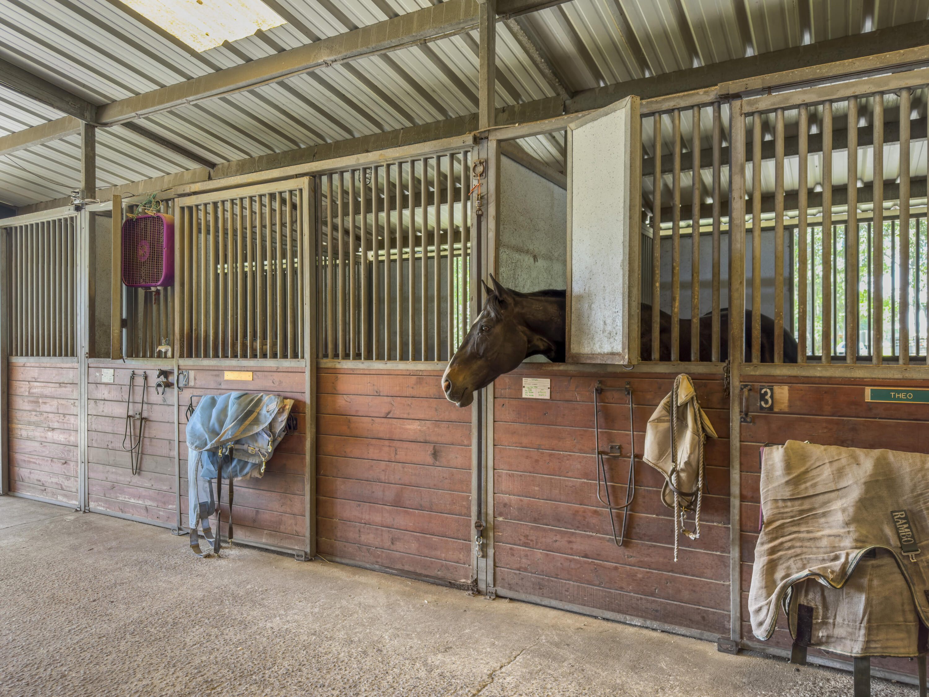 163 Keans Neck Road Seabrook, SC 29940 - Photo 16 of 62 stables