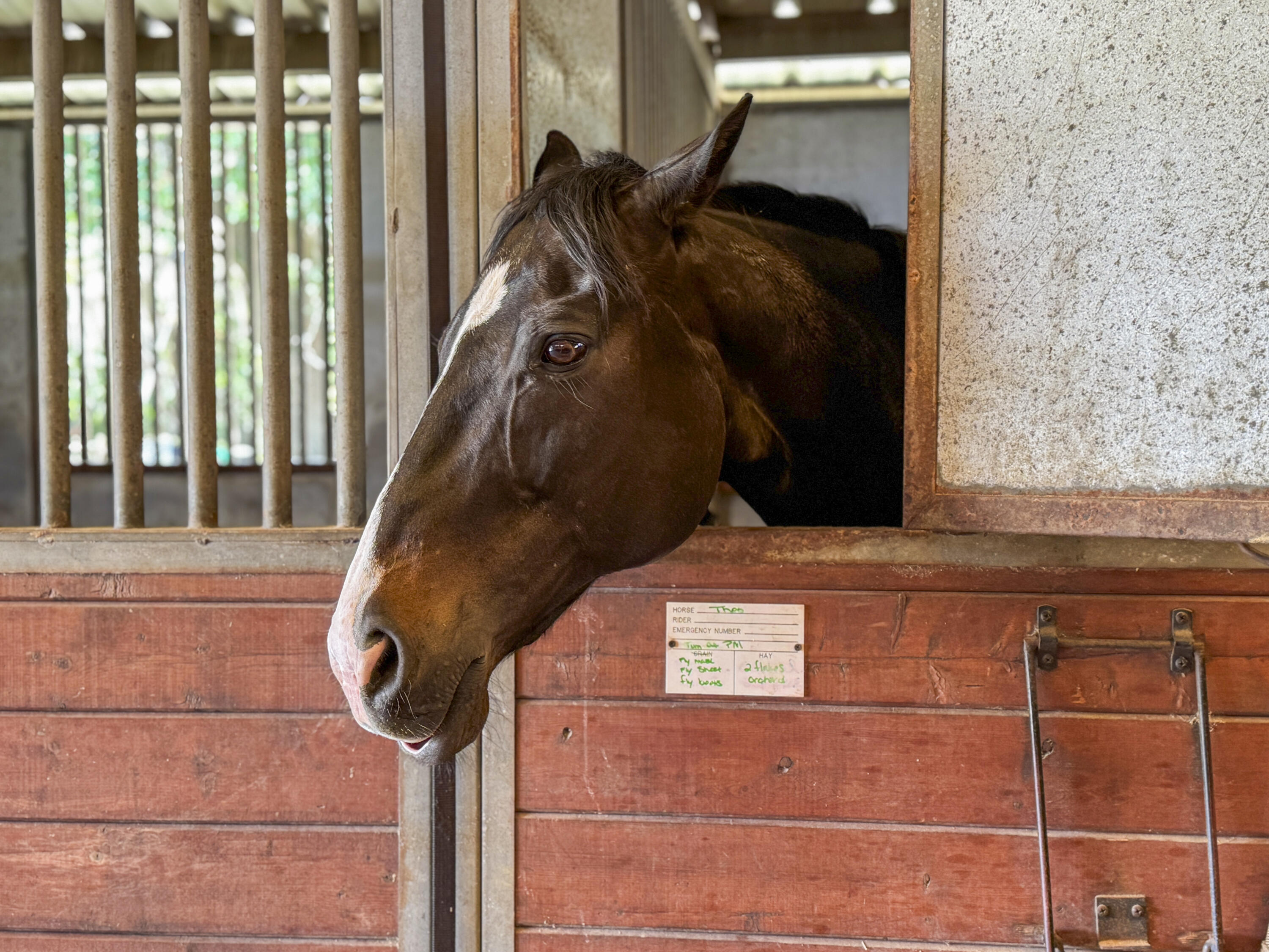 163 Keans Neck Road Seabrook, SC 29940 - Photo 17 of 62 stables
