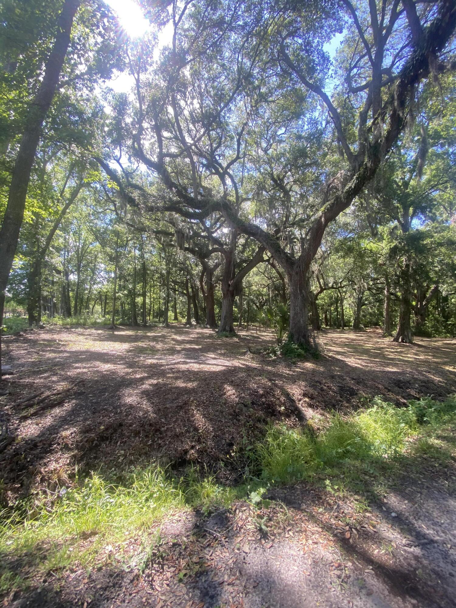 163 Keans Neck Road Seabrook, SC 29940 - Photo 32 of 62 beautiful land