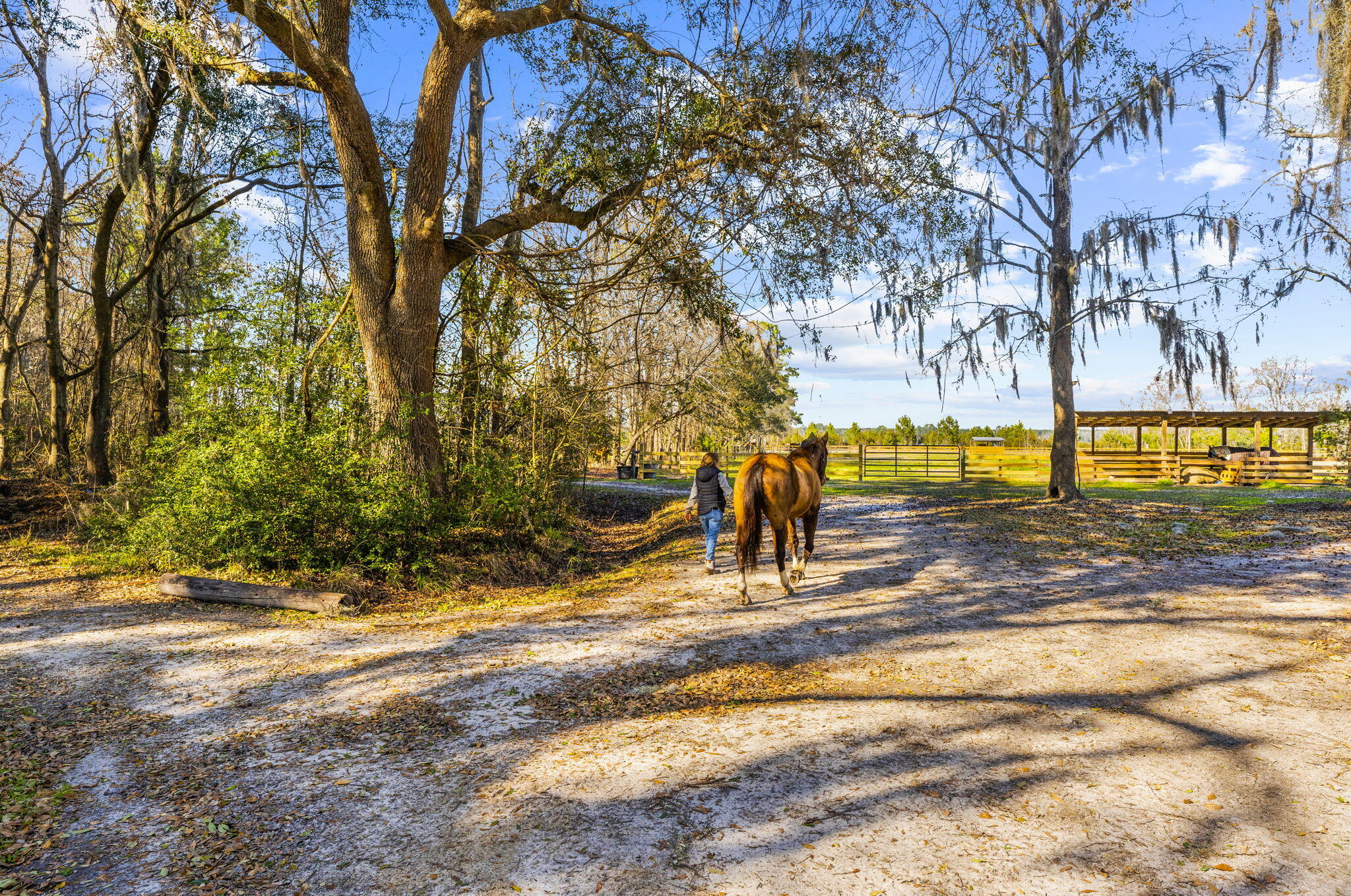 163 Keans Neck Road Seabrook, SC 29940 - Photo 51 of 62 property