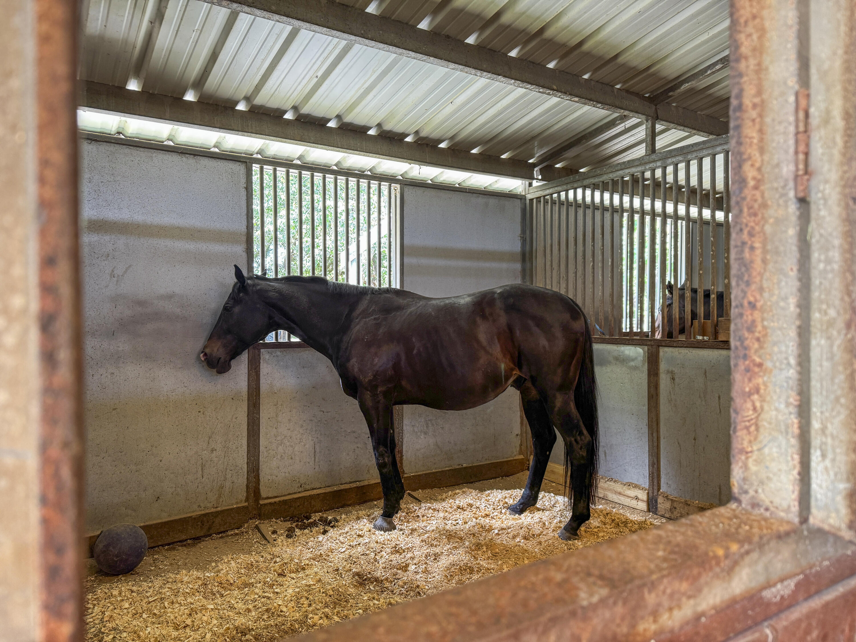 163 Keans Neck Road Seabrook, SC 29940 - Photo 55 of 62 Photo May 13 2025, 3 28 33 PM