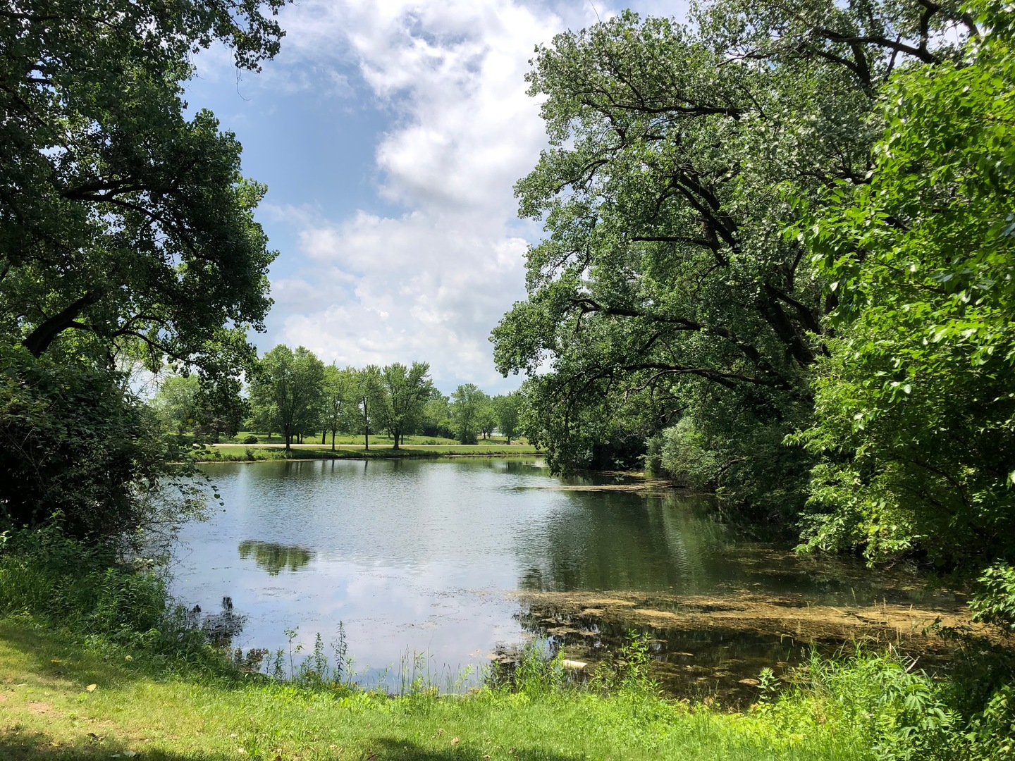 31446 South Kavanaugh Road Wilmington, IL 60481 - Photo 3 of 19 a body of water with a tree in the background