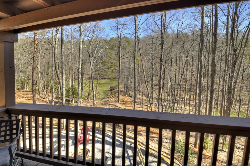 638 Cohutta Mountain Road Blue Ridge, GA 30513 - Photo 42 of 62