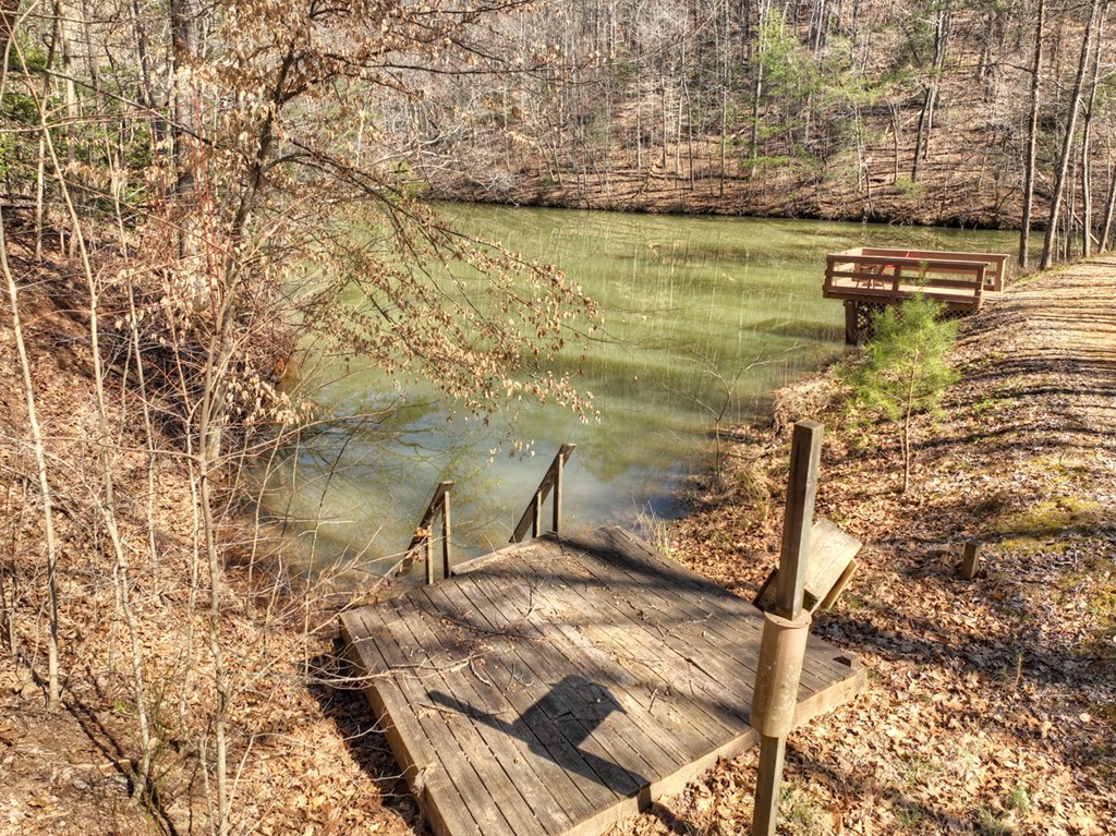 638 Cohutta Mountain Road Blue Ridge, GA 30513 - Photo 46 of 62